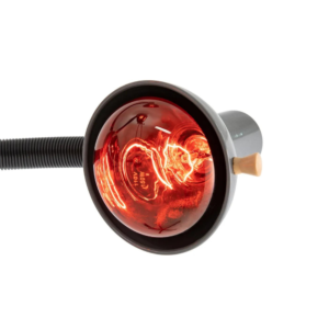 Alternative view of LLAMP INFRARED